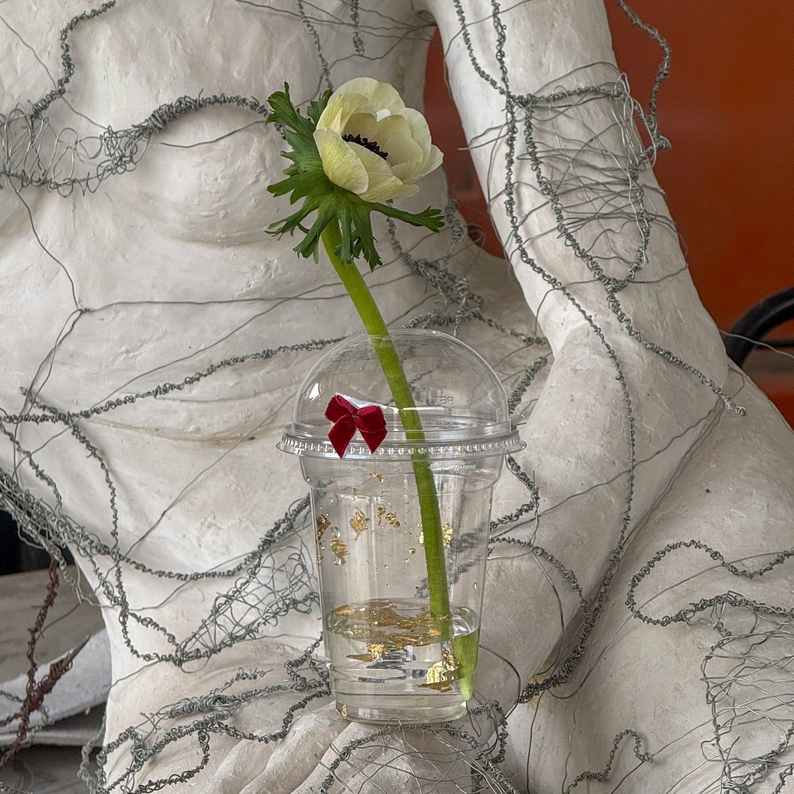 Darilo-za-materinski-dan-anemona-ljubljana