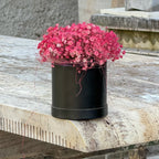 Flowerbox-cvetličarna-Ljubljana